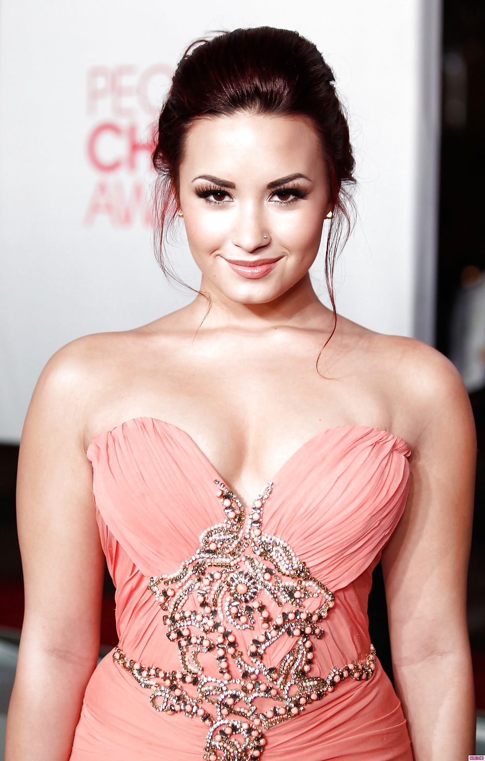 Demi Lovato #15065783