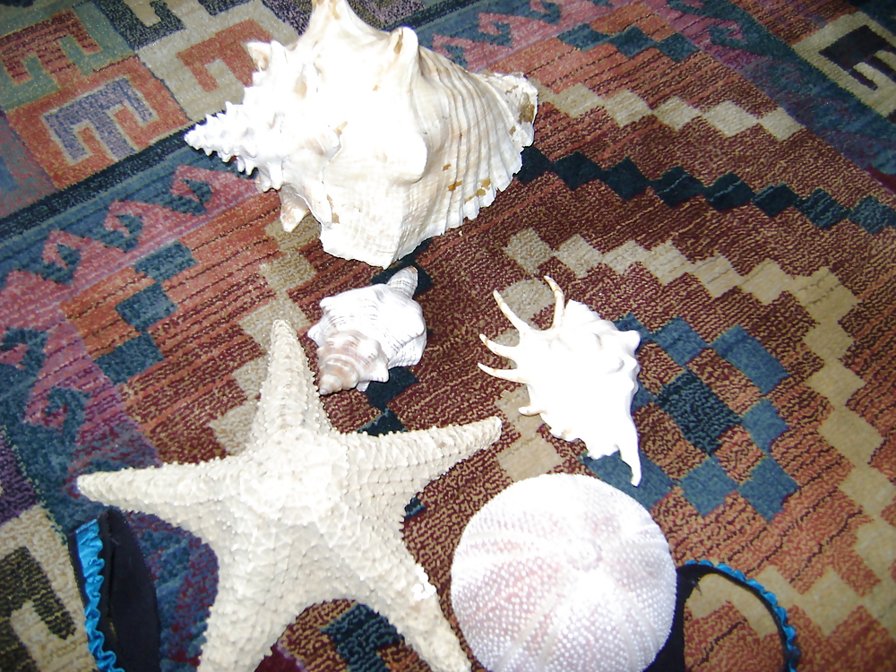 Superstar fish #9472126