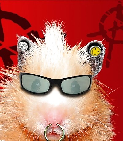 Hamster #4052661