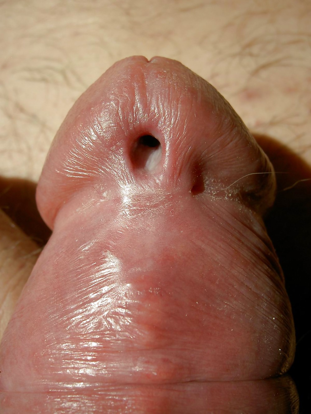 Pierced Penis #3868100