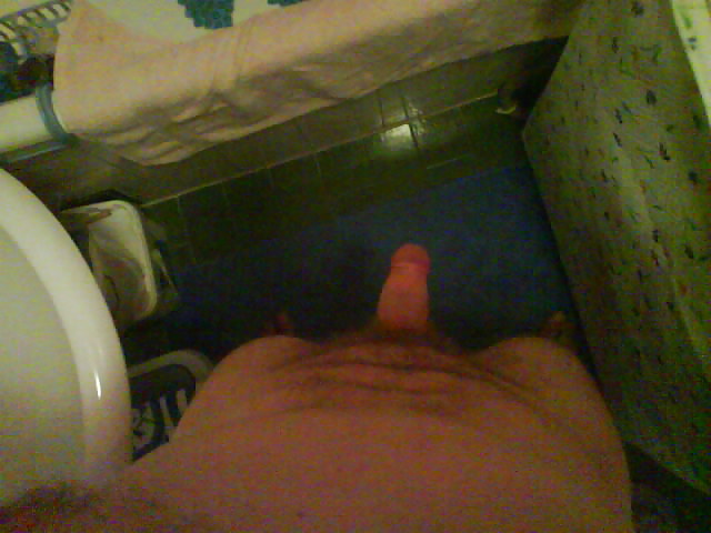 Cock 3 #9666517