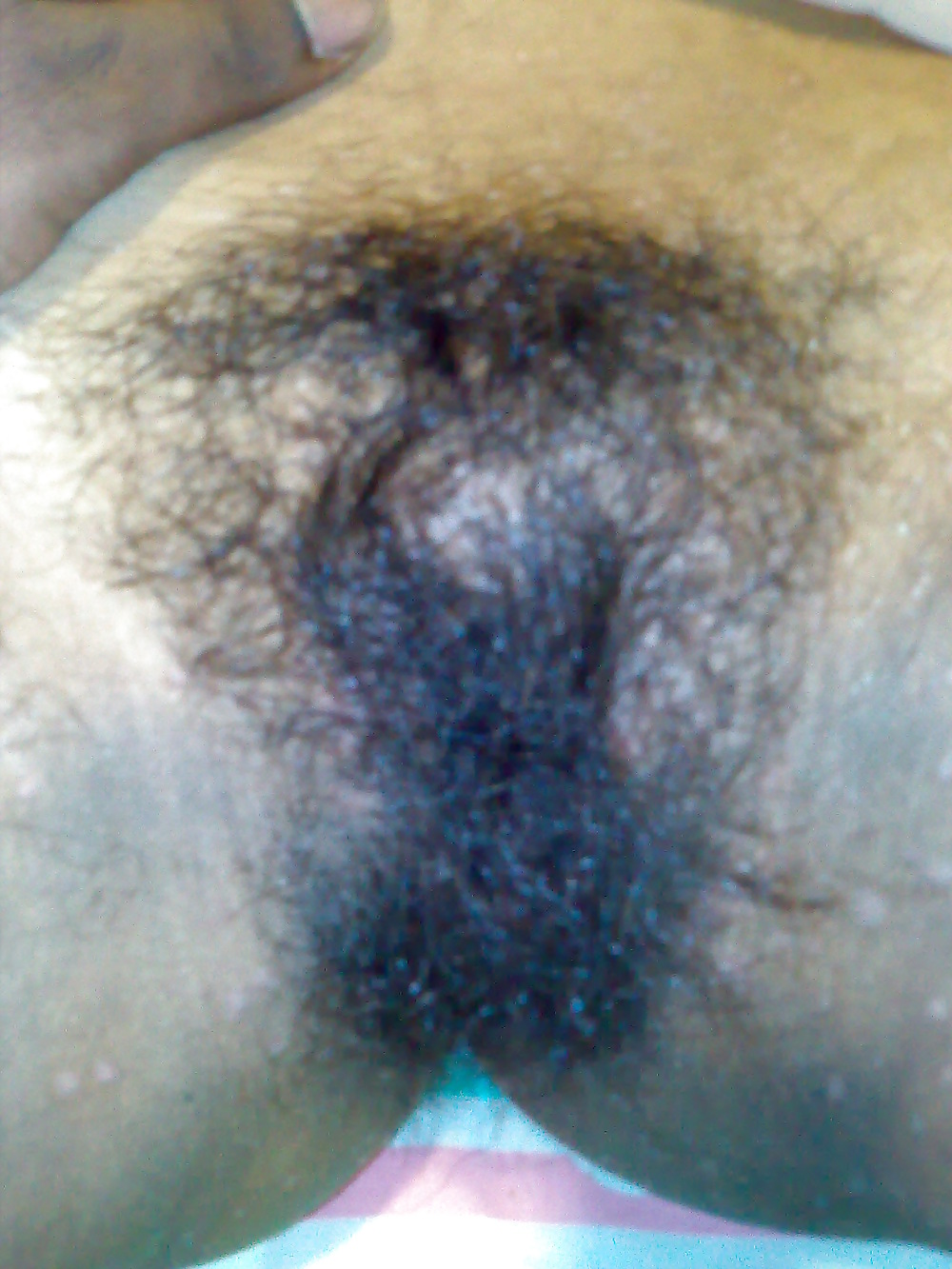 MY Ex-GF's Hairy Pussy.  #9183382