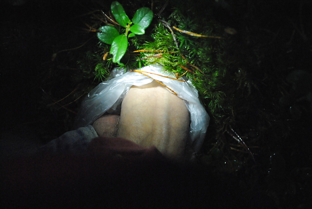 My dick and junk #9835296