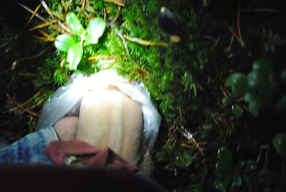 My dick and junk #9835318