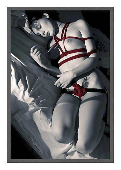 Kimbaku en color
 #13919997