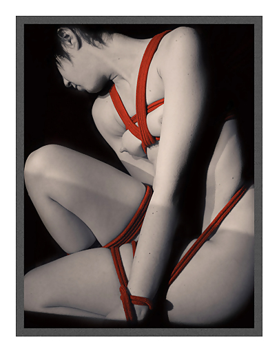 Kimbaku en color
 #13920010