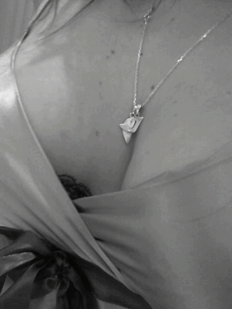 Coquine
 #13195075