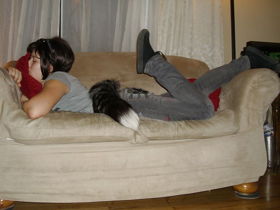 Colas de mascotas 12
 #14764876