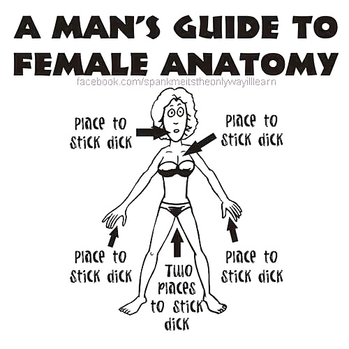 Funny Stuff #16098766