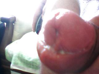 Gepumter schwanz
 #11746322