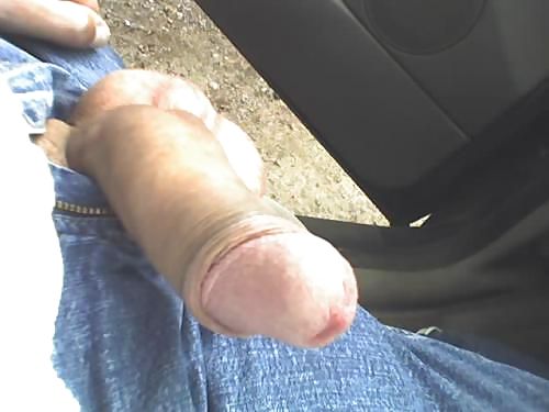 私のシュワンツ
 #20899395