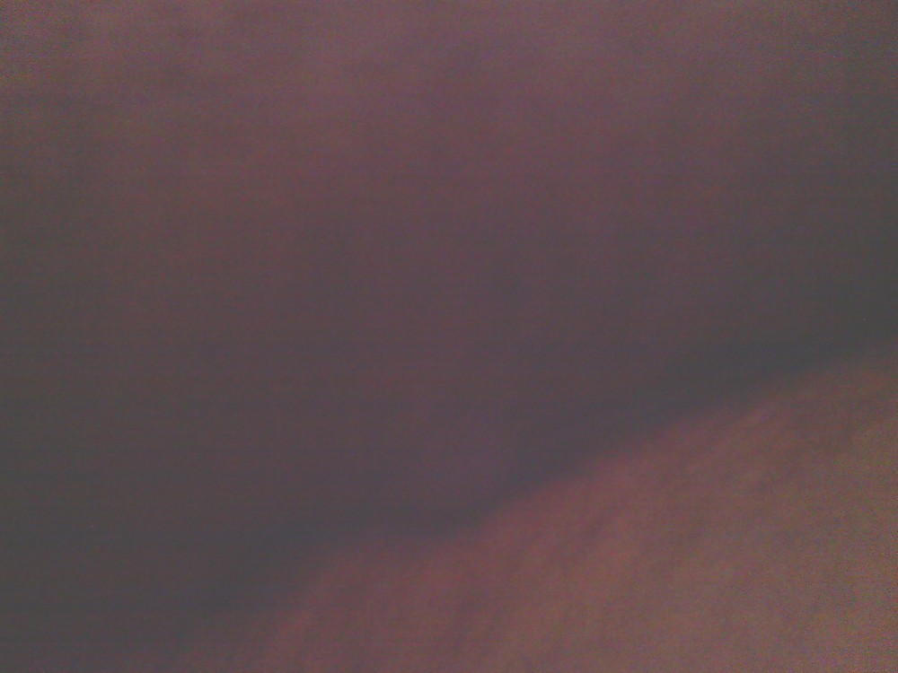 モイ
 #13291870