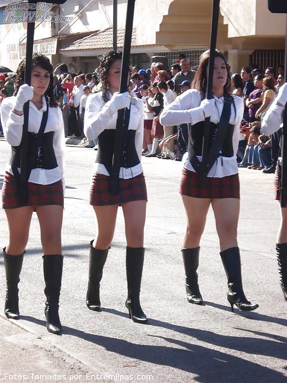 Lindas zorritas xv
 #22126832