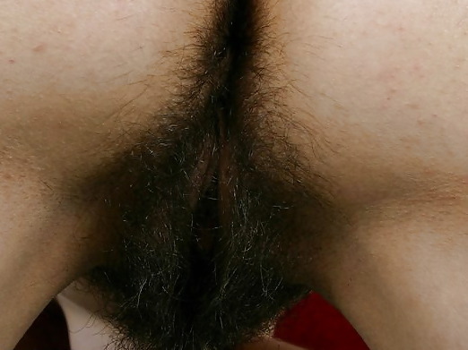 Hairy Asses #717931