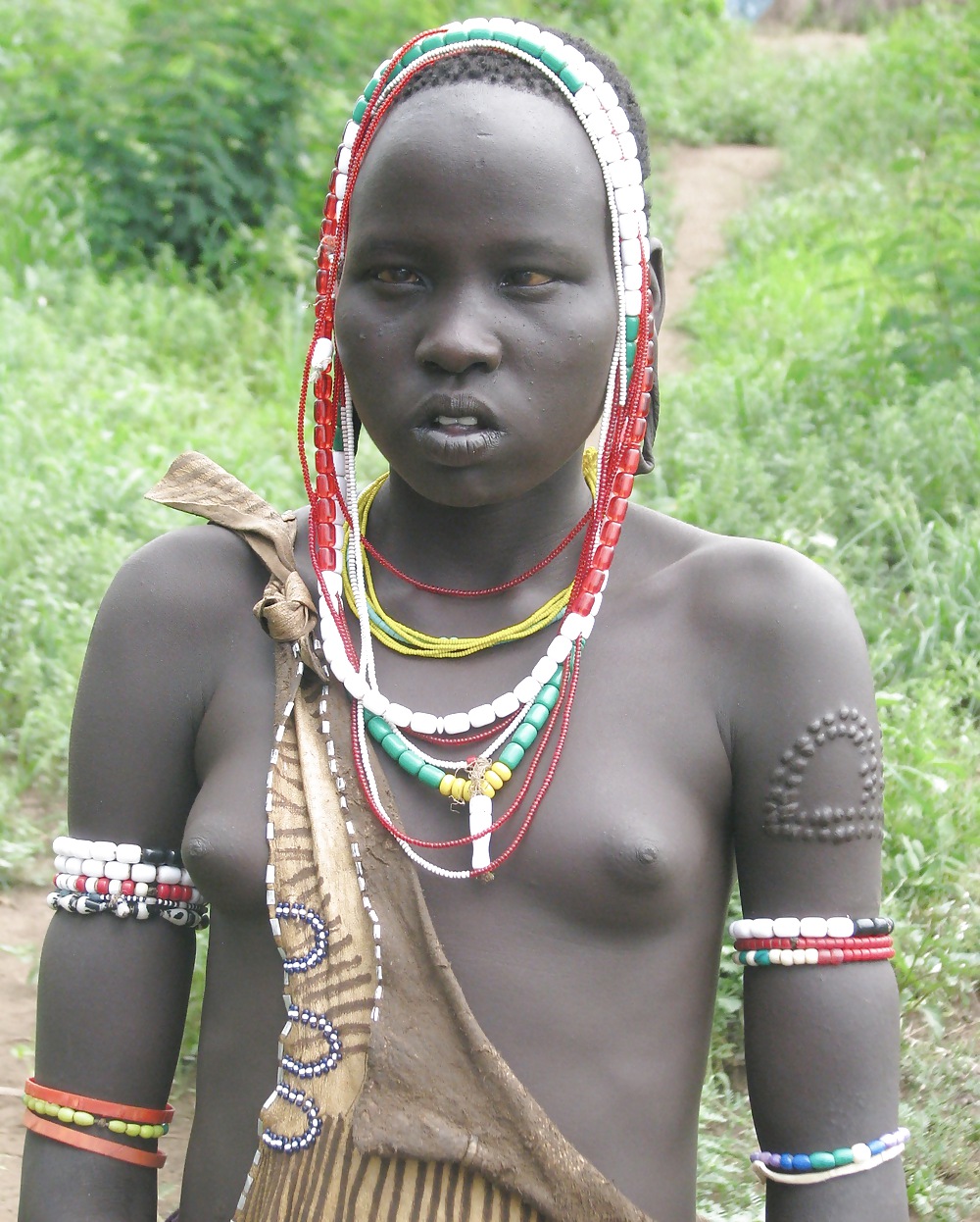 African tits #8510640
