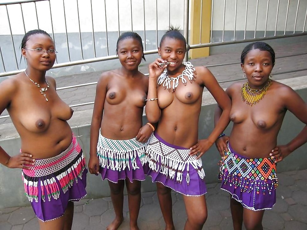 African tits #8510704