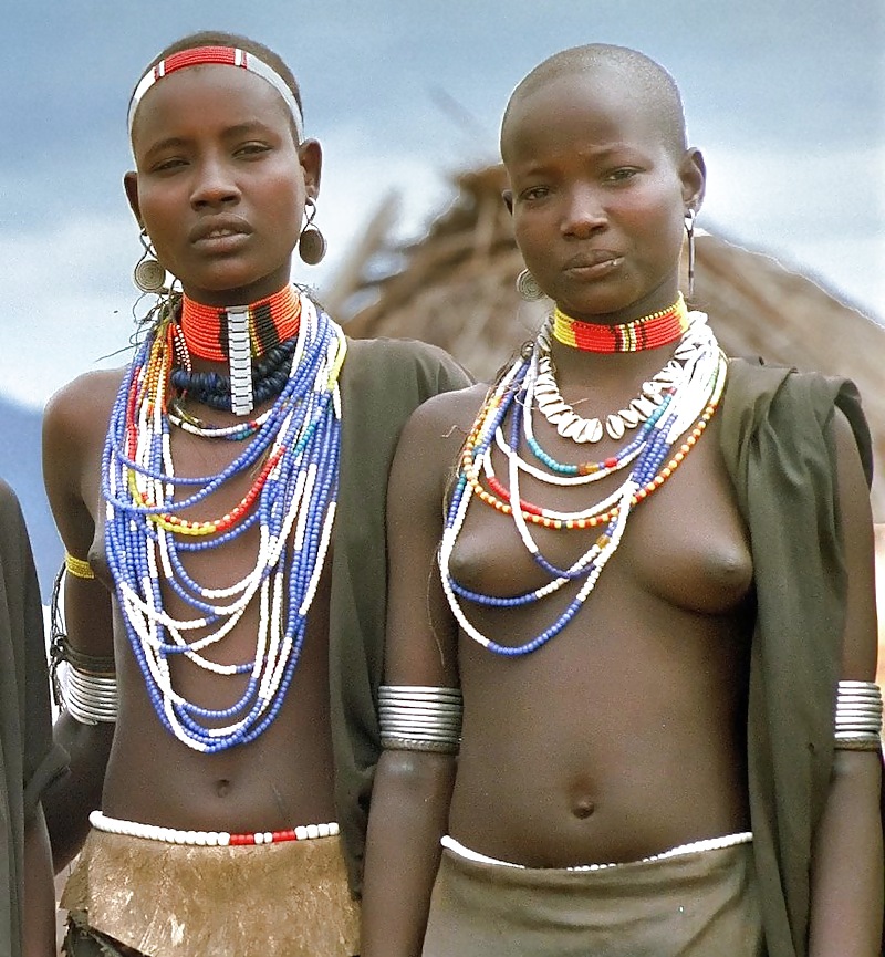 African tits #8510720