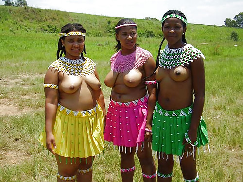 African tits #8510754