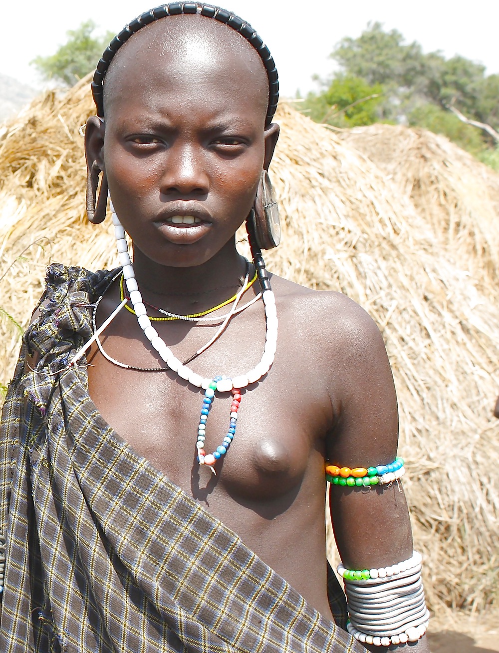 African tits #8510761