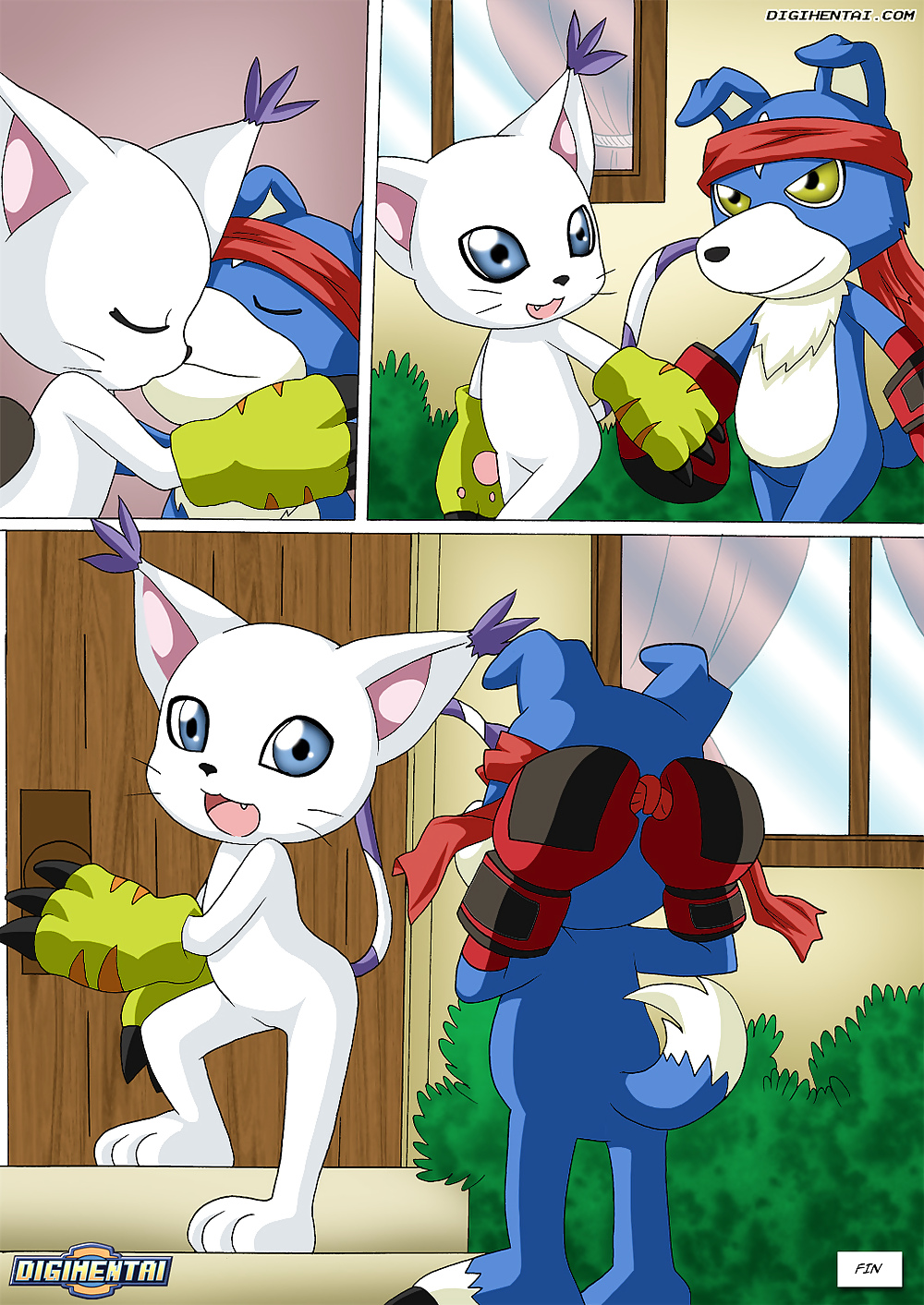 Gatomon In Wärme 1,2,3 #14932512