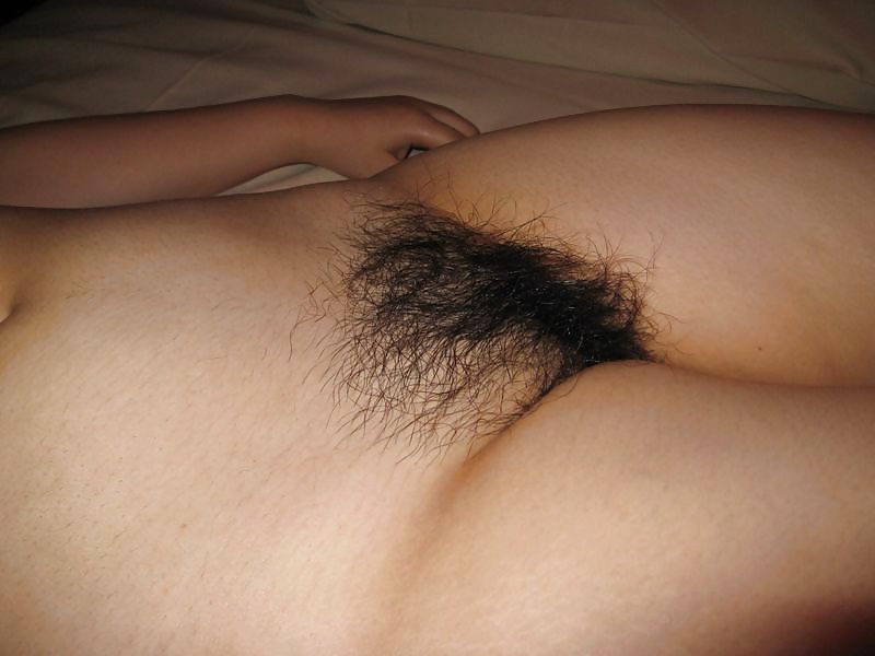 Hairy Gallery II #6155084