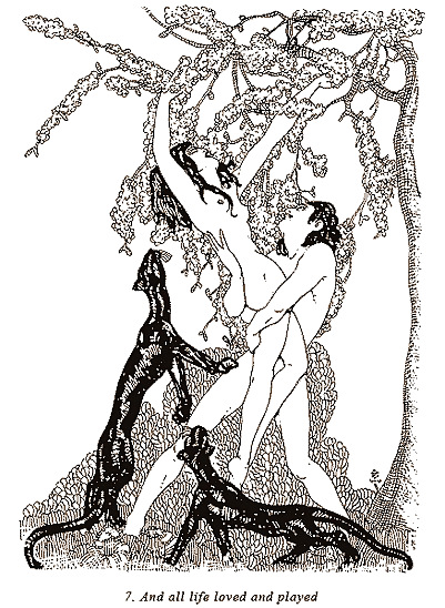Erotic Book Illustration 19 - Nova Venus #18322251
