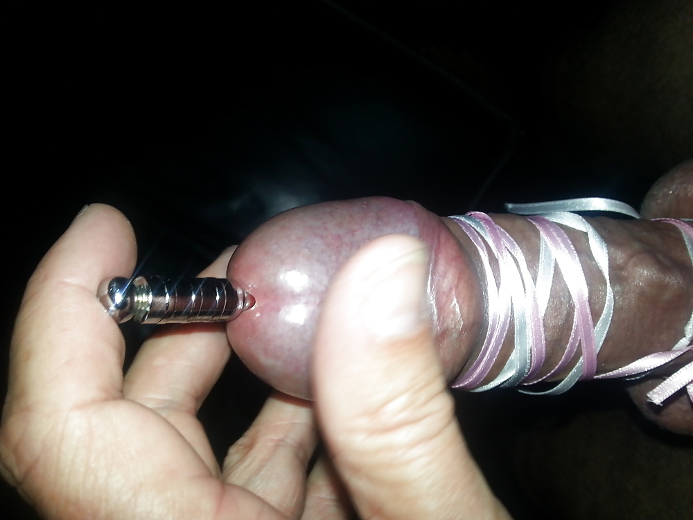 チンコのトラースと剥製
 #17791414