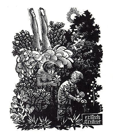 Ex libris 6 of 6
 #13781385