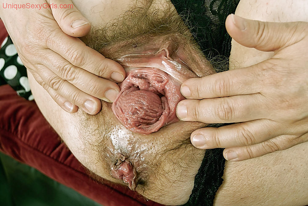 Haarige Fotze ausgeleiert #4403582