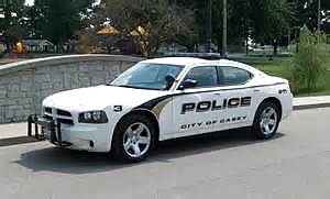 Favorite cop cars #15277478