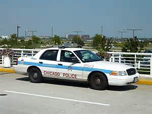 Favorite cop cars #15277482