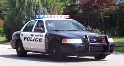 Favorite cop cars #15277538