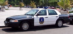Favorite cop cars #15277543