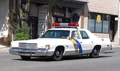 Auto poliziotto preferito
 #15277582