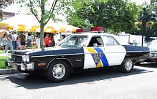 Auto poliziotto preferito
 #15277588