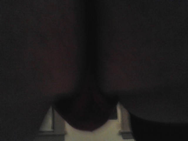 ただのおバカさん
 #17504540