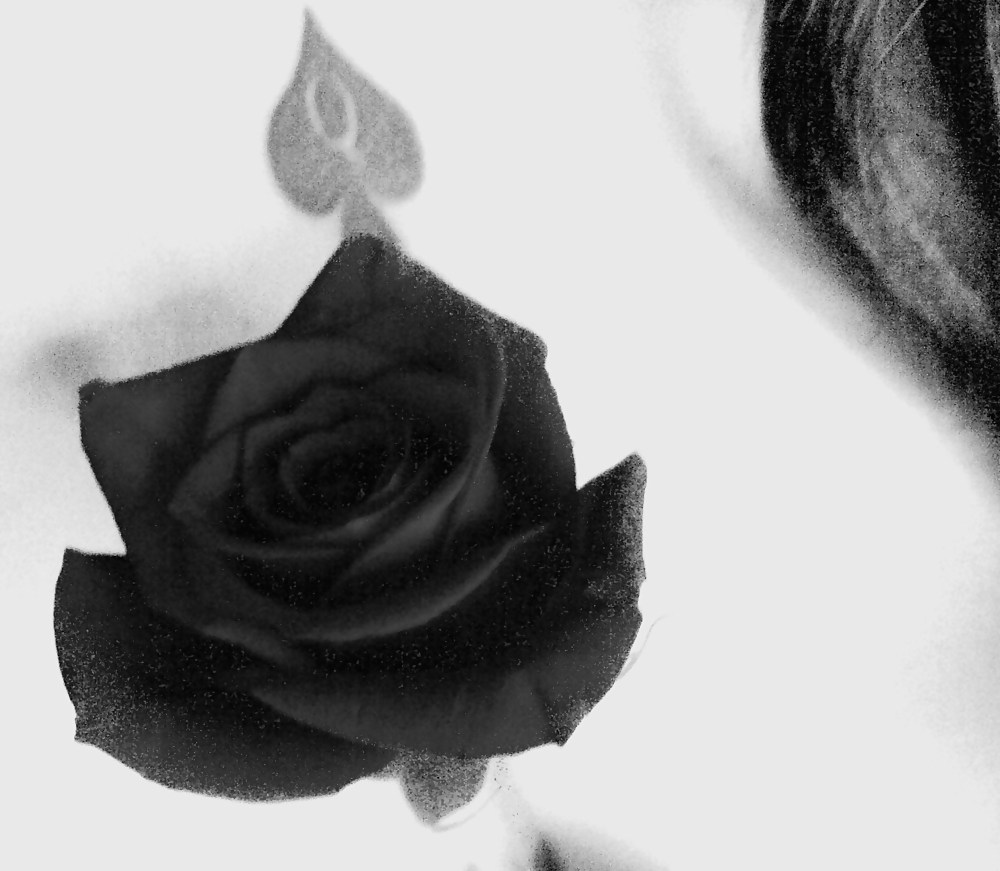 Keepin a promise #12121668