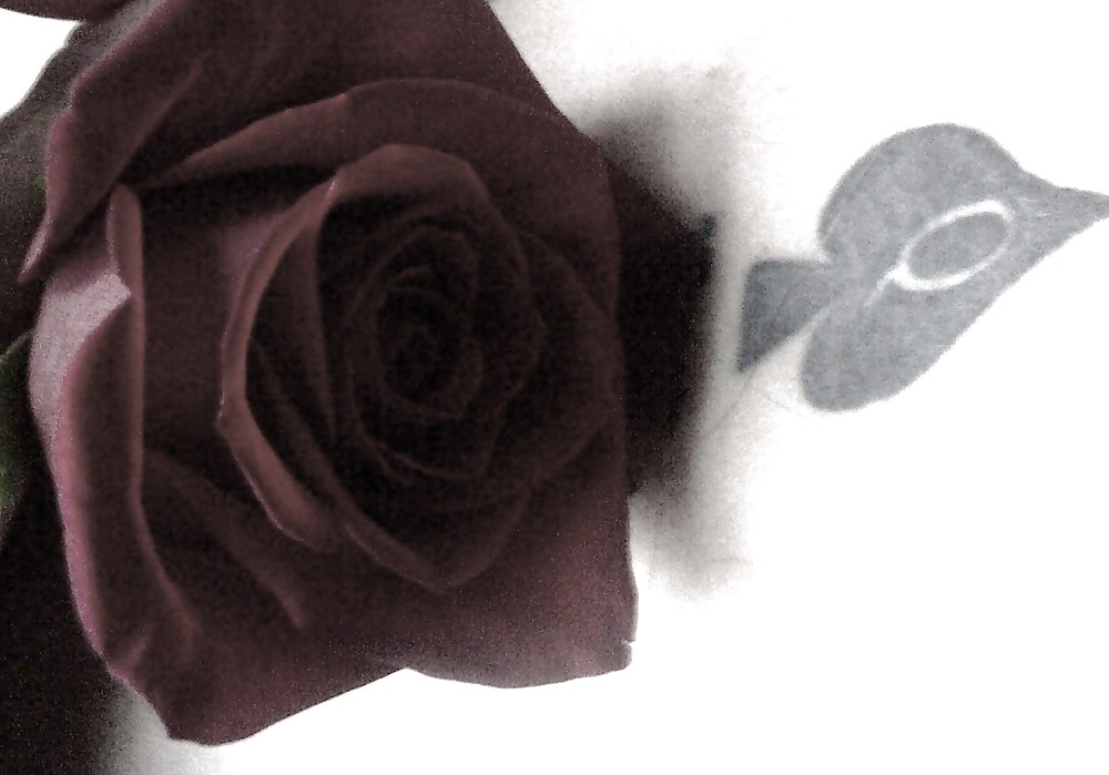 Keepin a promise #12121678