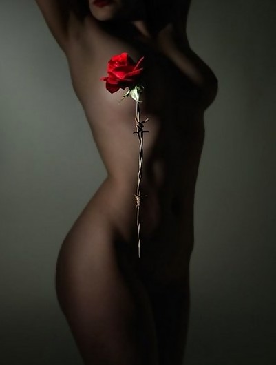 Erotic Art of Roses - Session 2 #4232278