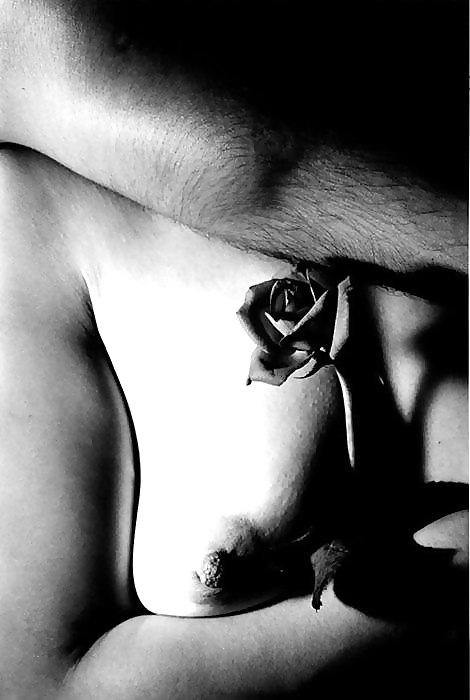 Erotic Art of Roses - Session 2 #4232364