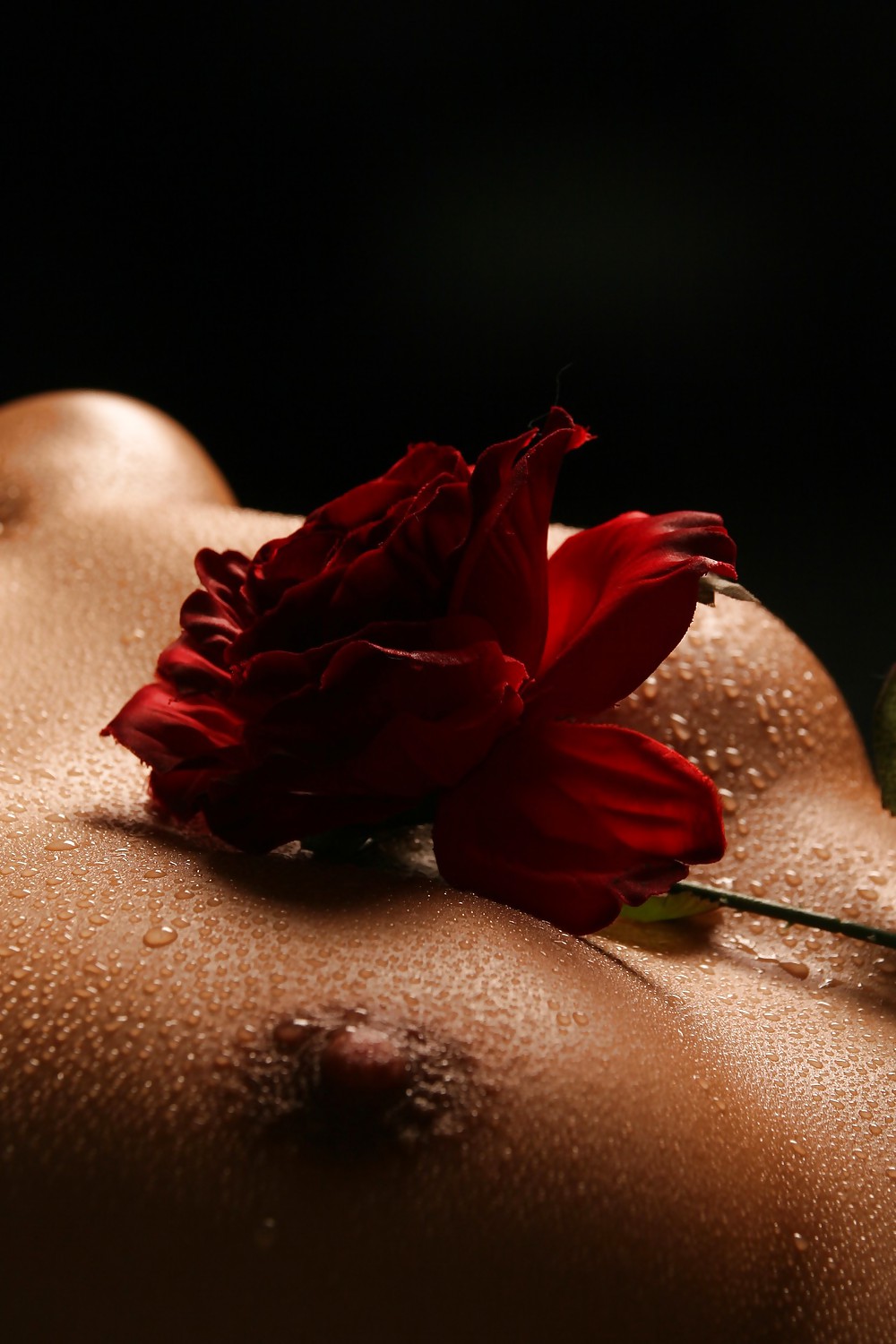 Erotic Art of Roses - Session 2 #4232424