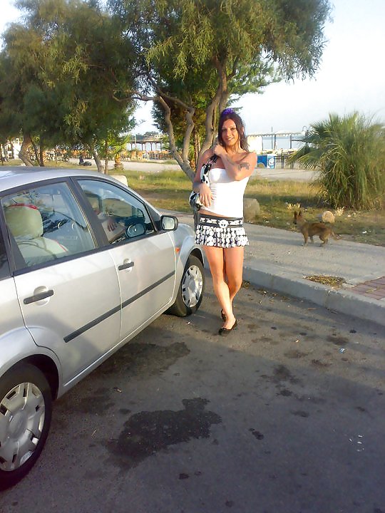 Turkish shemales #9508685