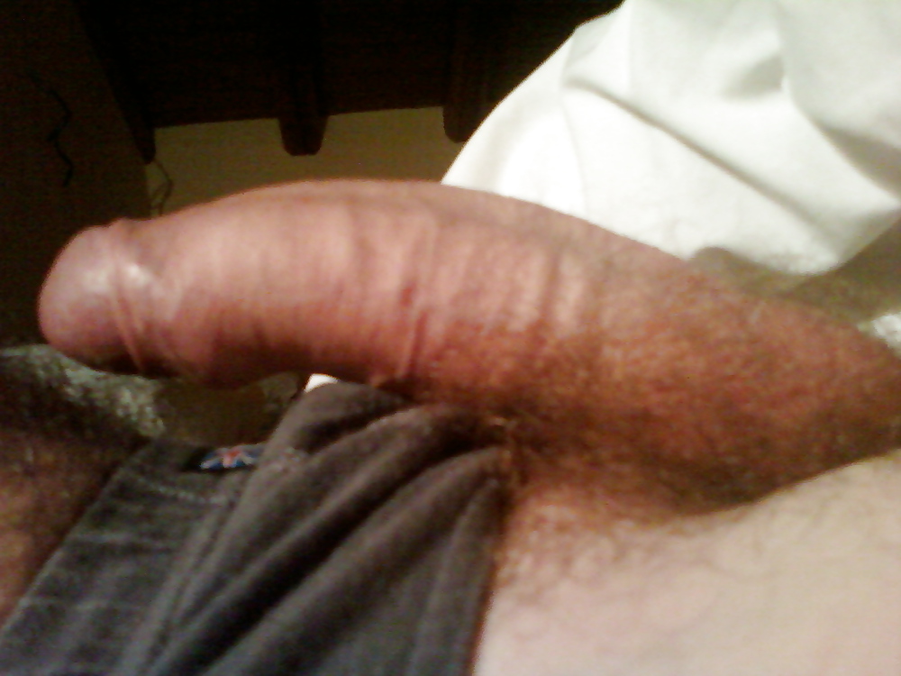 Sollazzo #11296106