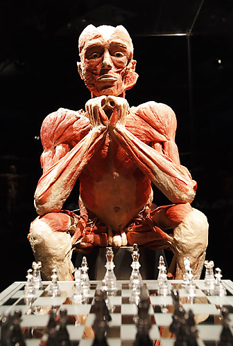 Von hegen human by jedman
 #17649966