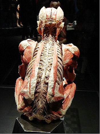 Von hegen human by jedman
 #17649979