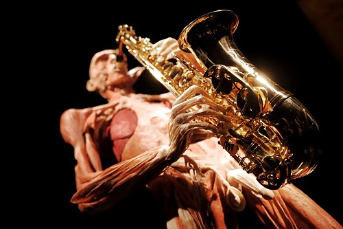 Von hegen human by jedman
 #17649985