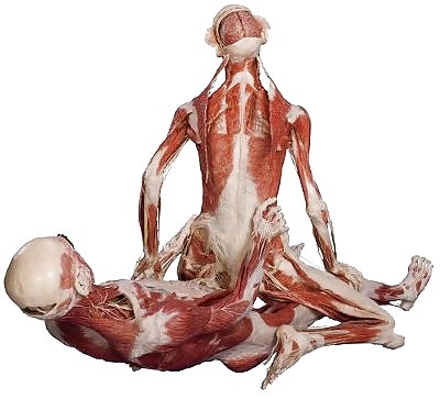 Von hegen human by jedman
 #17649990