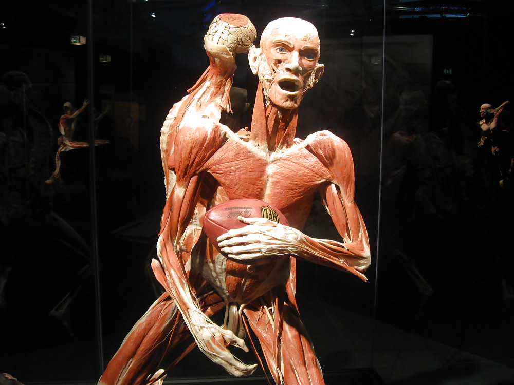 Von hegen human by jedman
 #17649996