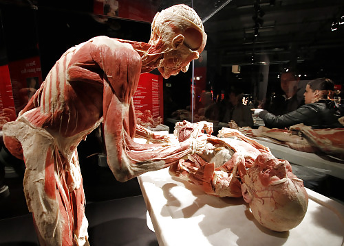 Von hegen human by jedman
 #17650000