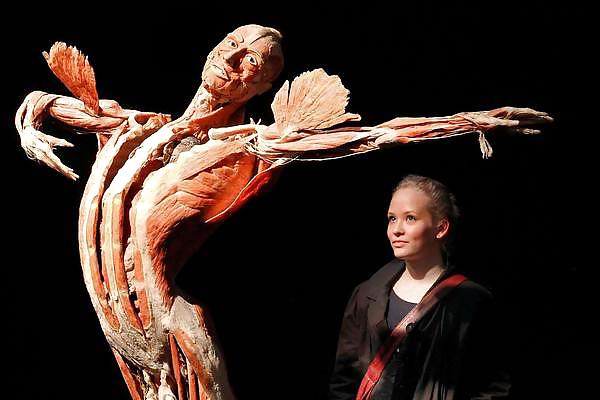 Von hegen human by jedman
 #17650013